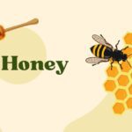 honey benefits, honey medicine, benefits of honey