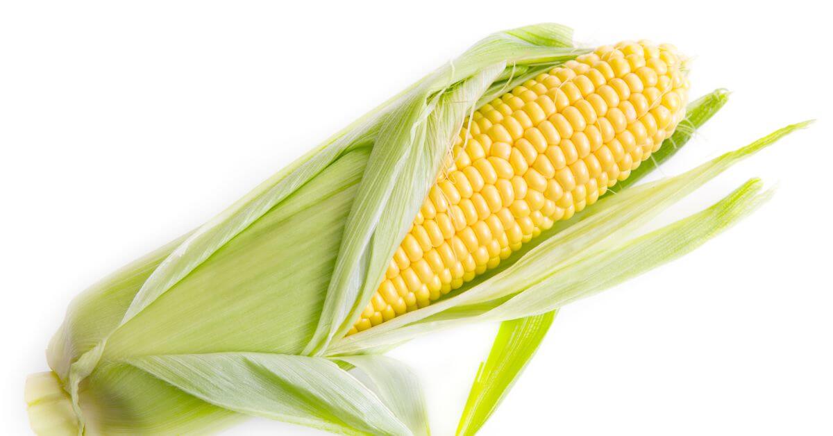 corn health benefits, benefits of eating corn, corn nutrition facts